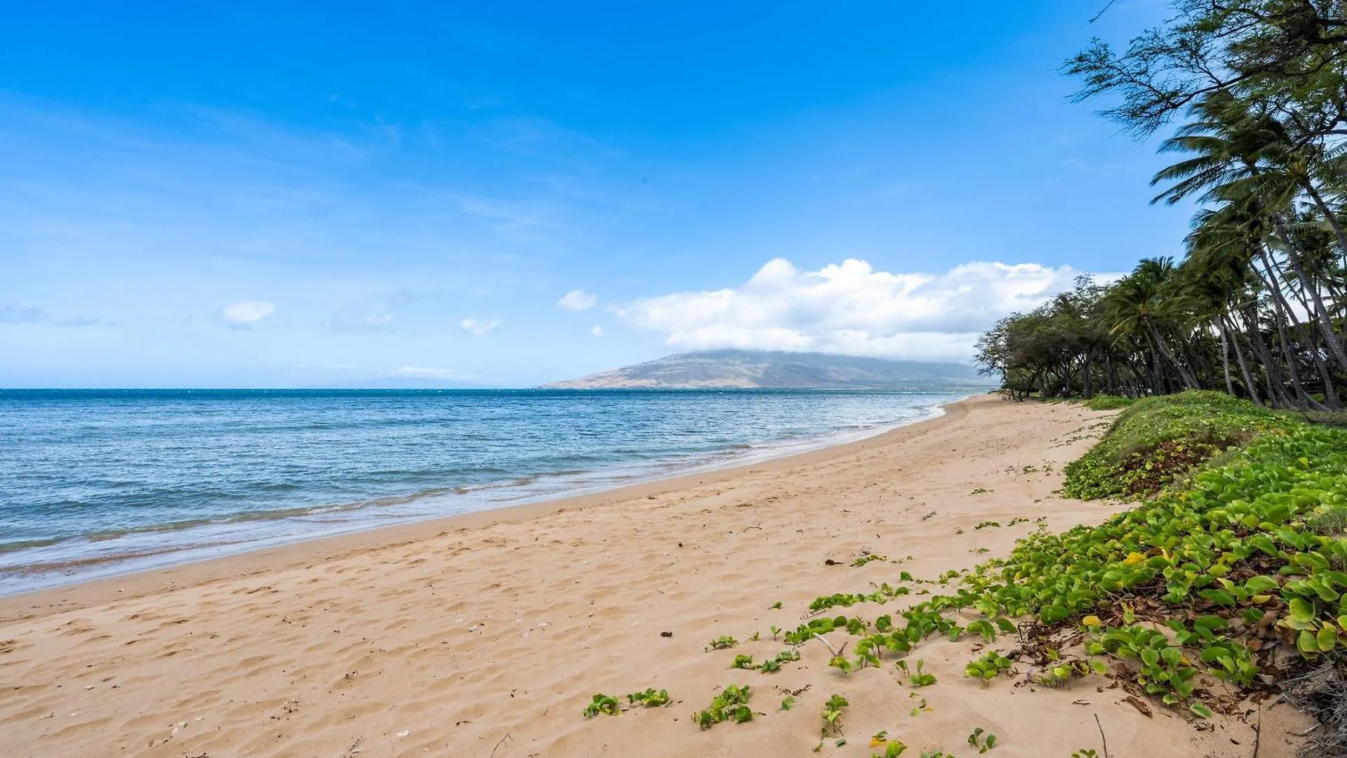 Hale Kai O Kihei 307 Villa